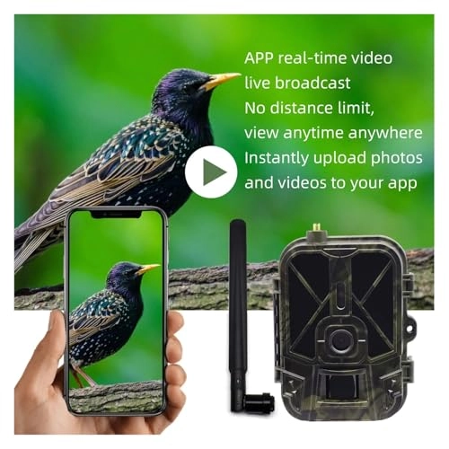 Trail Camera - 4G 14MP