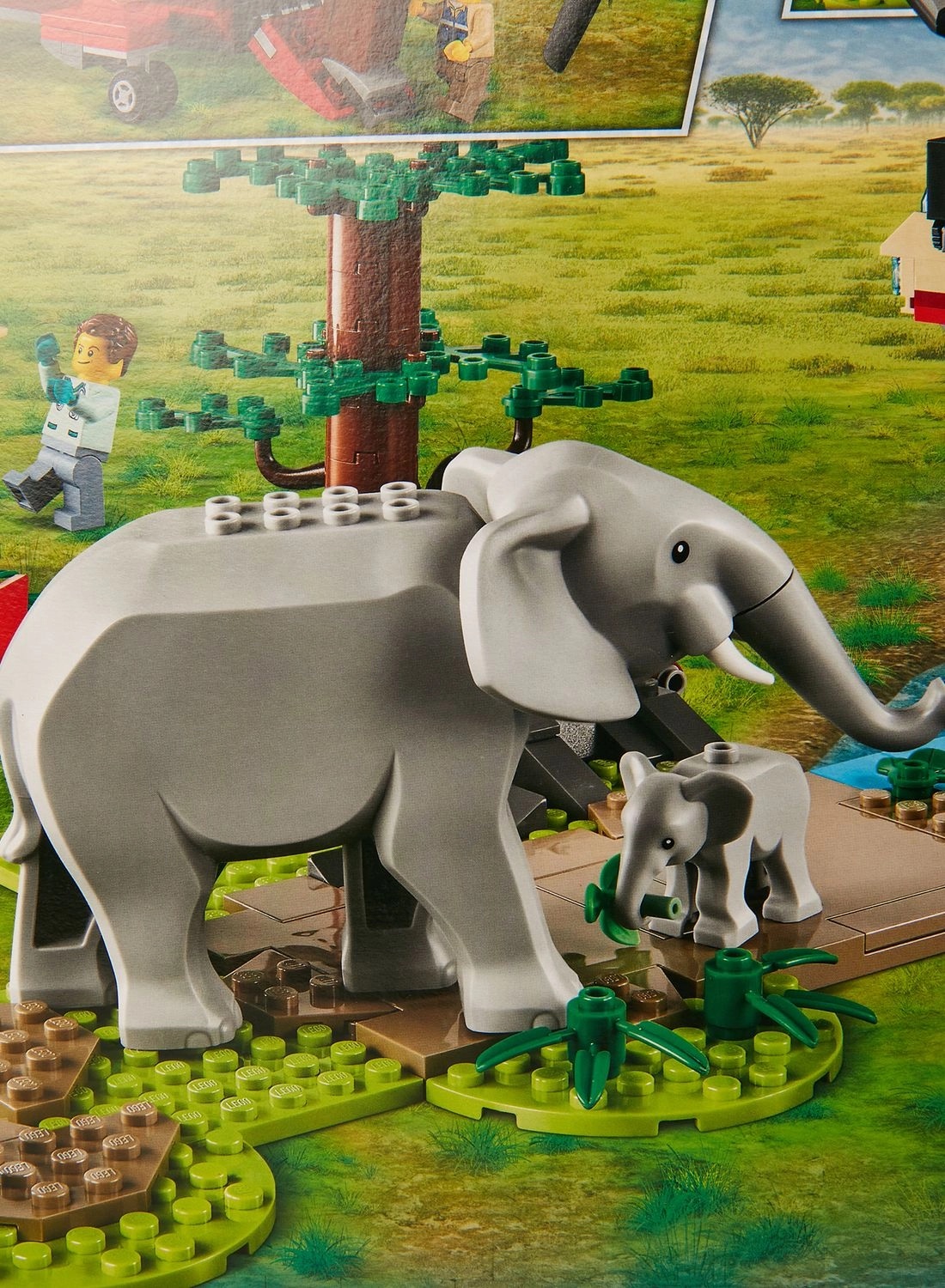 City Wildlife Rescue Operation (60302)