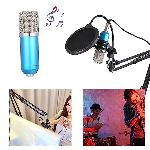 BM700 3.5mm-Mini-Jack Microphone