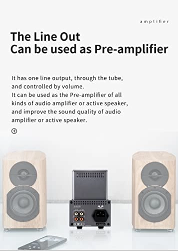 TA-26s - 6N8P 6N5P Tubes Gold Plated RCA Port