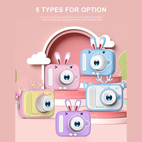 RDYAED12247PU-2MORELIAN