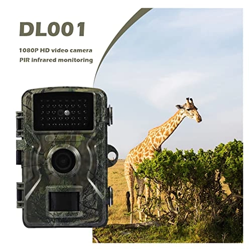 DL001 - 12MP