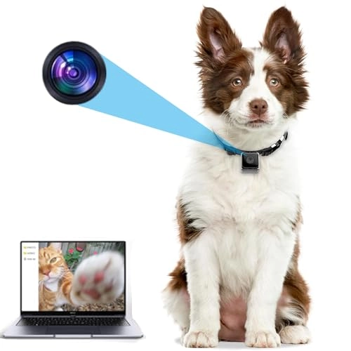 Dog Collar Camera