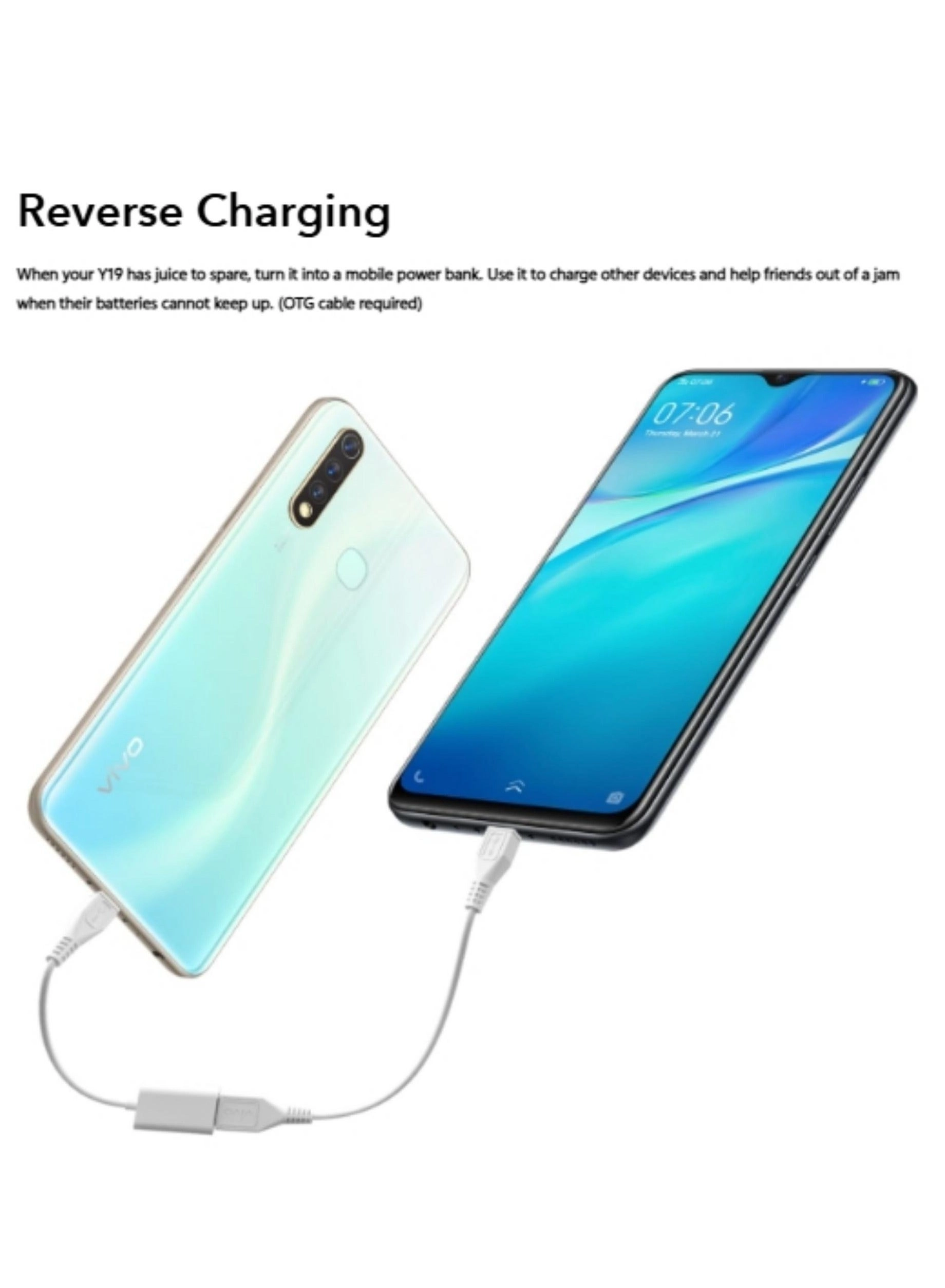 Y19 - 8 GB 256 GB