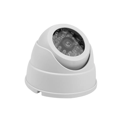 Dome Simulation Security Camera - Indoor