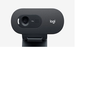 Logitech C505