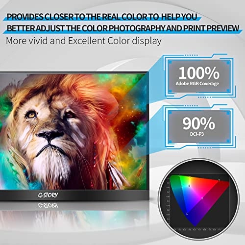 QLED Portable Monitor - 1080P 15.6”