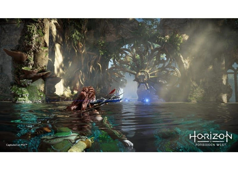 Horizon Forbidden West Special Edition - PlayStation 5