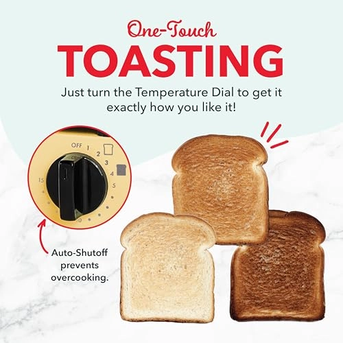 Mini Toaster Oven