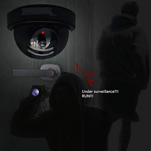 Dummy Security - Indoor Outdoor