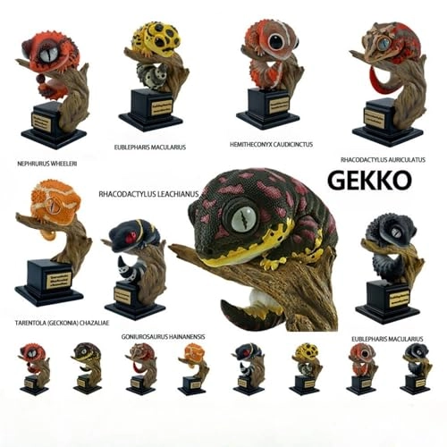 Gecko - Nephrurus Wheeleri Wheeleri (BWZ-SG)