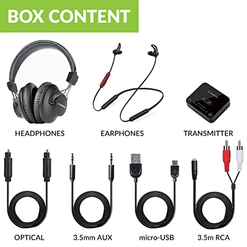 D4169 Wireless Headphone