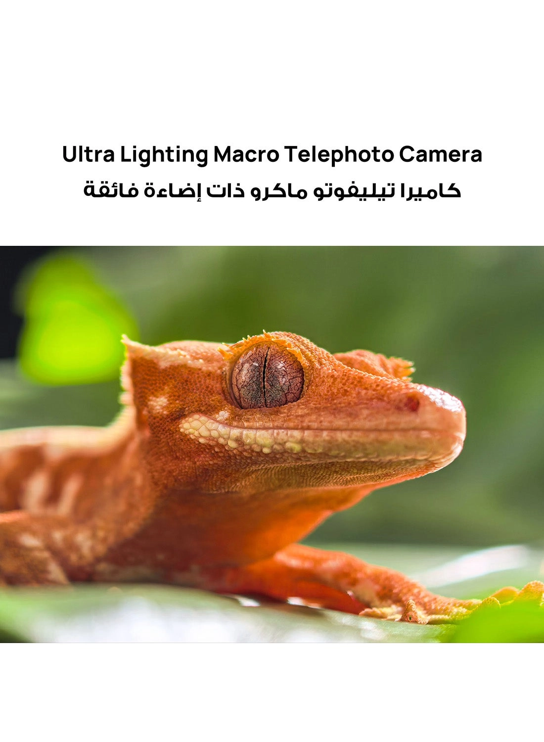 Pura 80 Pro - 12 GB 512 GB + Watch GT5 + Care+