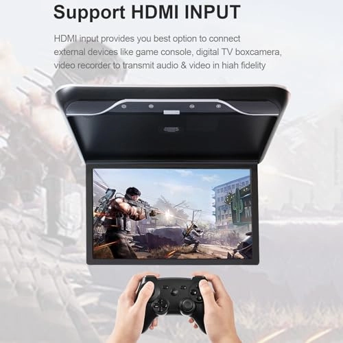 Car ceiling display - 19-Inch