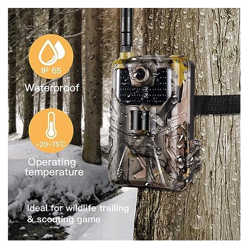 Wildlife Camera - 8MP