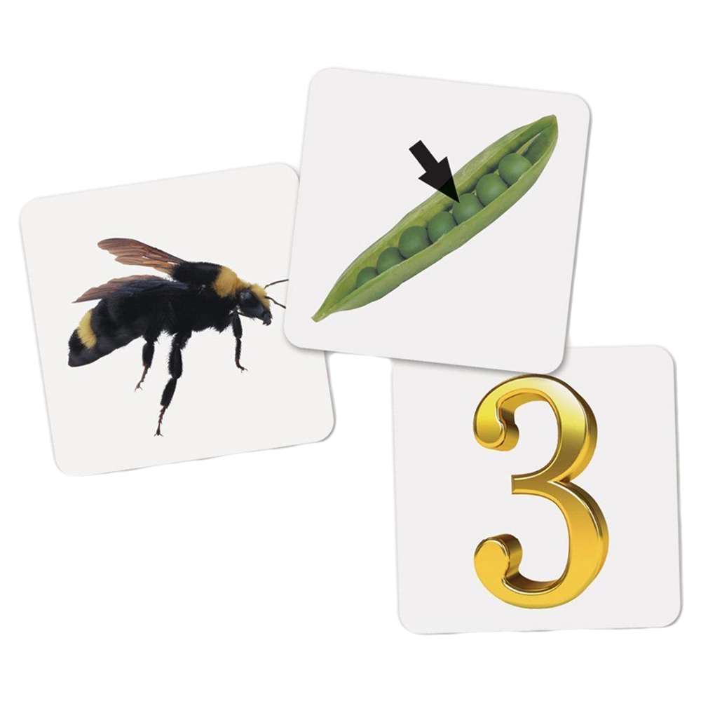 Rhyme & Sort Rockets - Suitable for 4 years & above 8 pieces