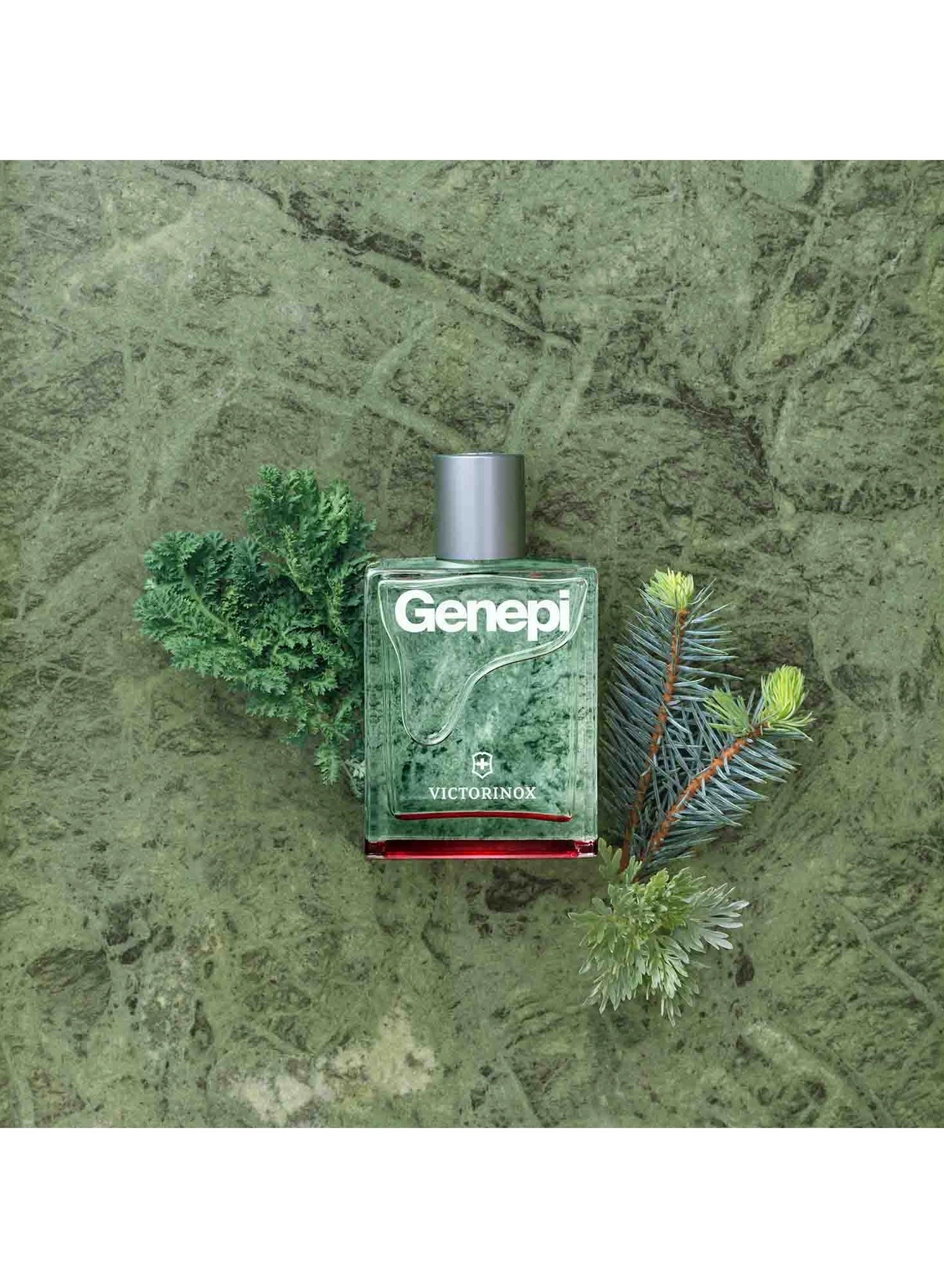 Genepi - Eau de Toilette 100 ml