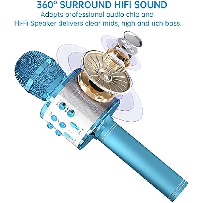 rayihni Karaoke Microphone Pack