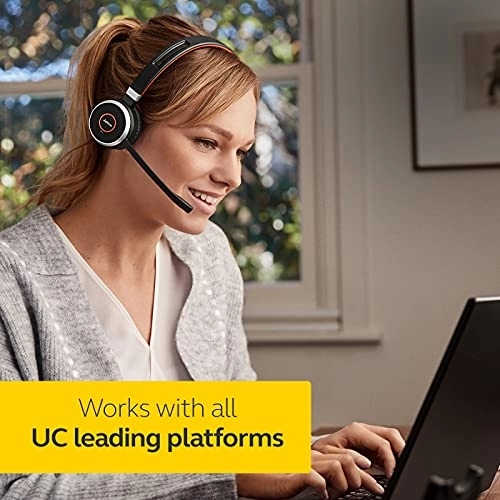 6593-823-309 Wireless Headphone