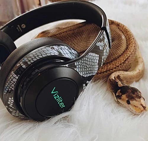 BH10 Wireless Headphone