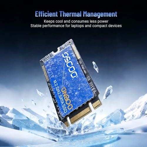 Internal Solid State Drive - 1TB M.2 2242