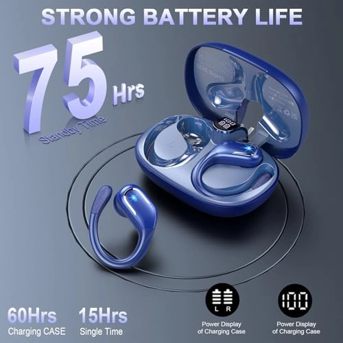 BX29 Wireless Earbud