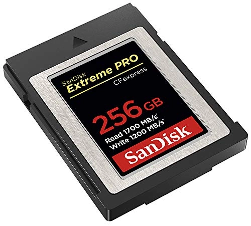 Extreme Pro Cfexpress Card Type B - 256GB