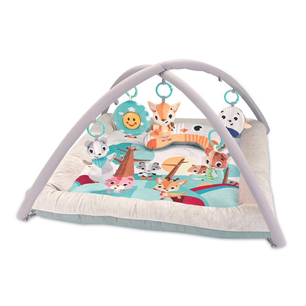Baby Play Mat Activity Gym - 0 month & above
