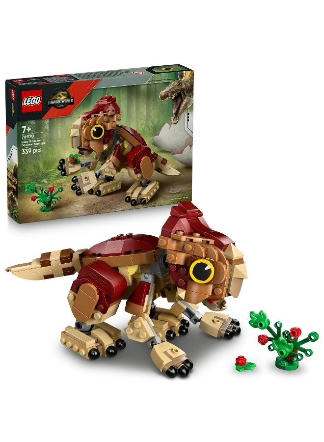 LEGO Jurassic World Aquilops 76970 - Baby Dinosaur Dolores