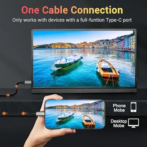 Portable Monitor - 1080P 15.6 Inch