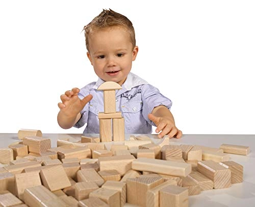 Wooden Building Blocks - 100pcs
