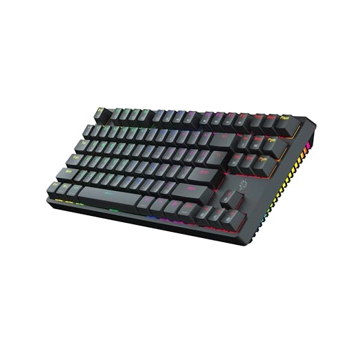 3in1 Mechanical Keyboard TKL - Wireless