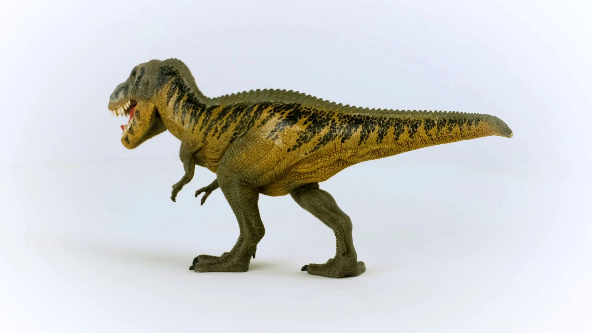 Tarbosaurus - 4+ Dinosaurs 1