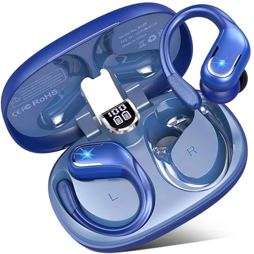 BX29 Wireless Earbud