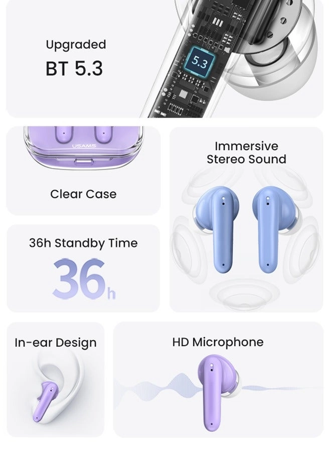 BE Series BE16 Wireless Earbud