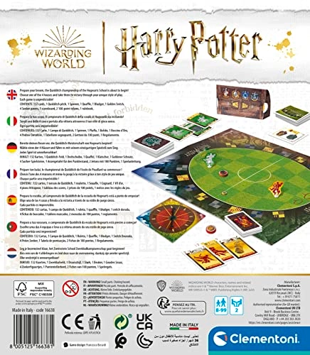 Harry Potter Quidditch Tournament