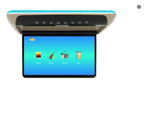 Roofmount LCD Monitor - 19in
