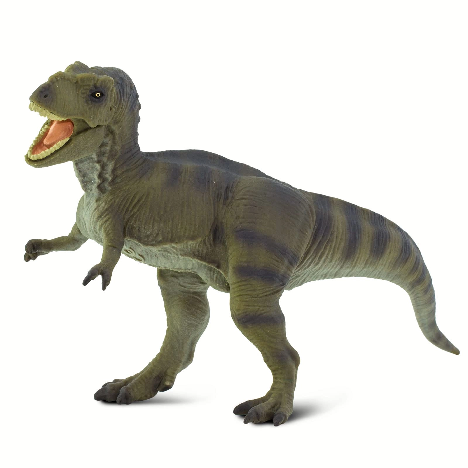 Dinosaur - Tyrannosaurus Rex