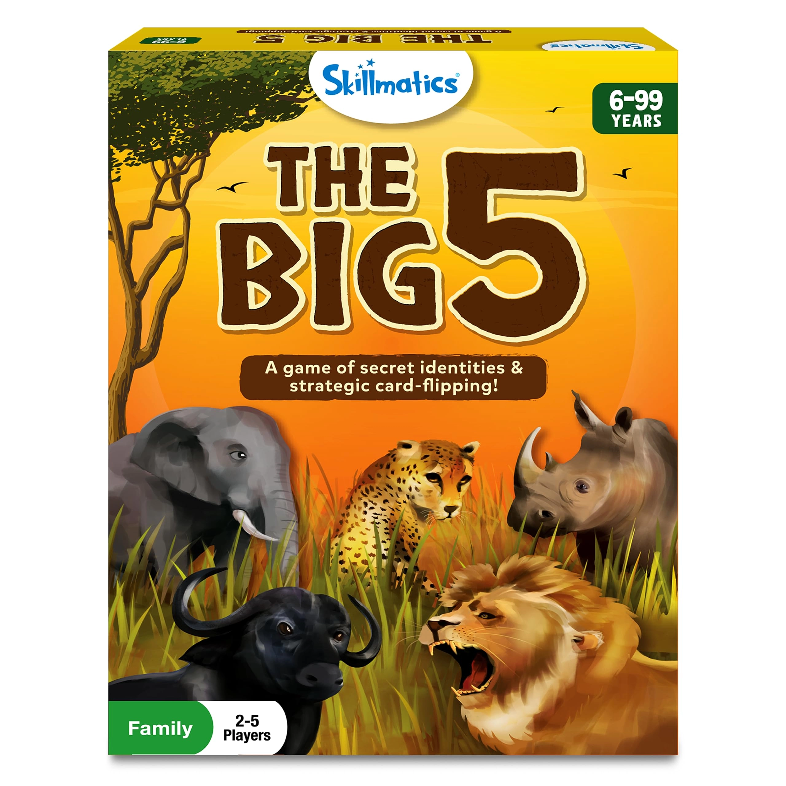Skillmatics The Big 5 - Card Game