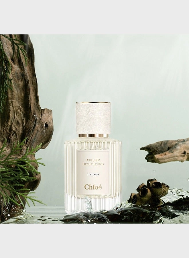Cedrus Eau de Parfum 50 ml