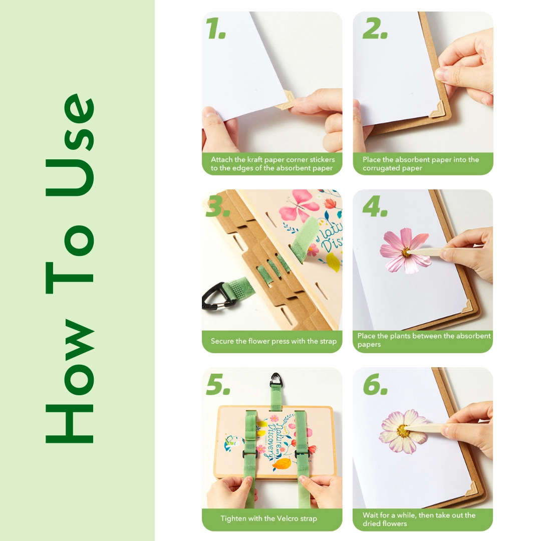 Nature Art Discovery Kit