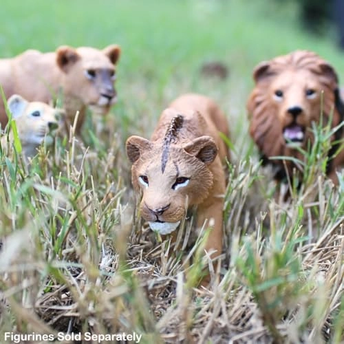 Adolescent Male Lion - Wildlife - 3yr(s) (63.5 cm)