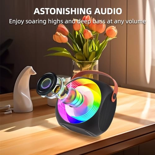 Karaoke Machine - 2 15W