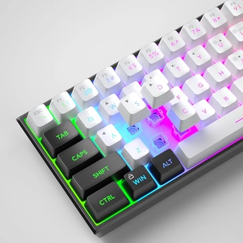 TS91 - Wired/Wireless