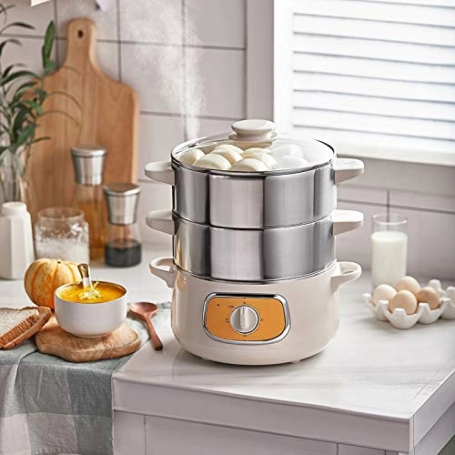 Electric Steamer - 3