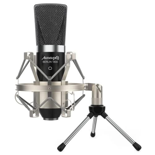 Berlin 1800 XLR Microphone