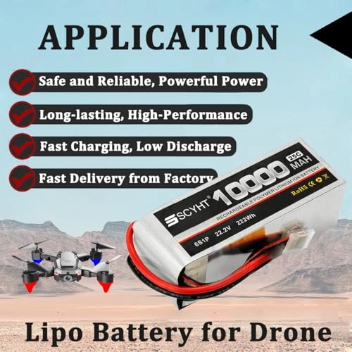 Lipo Battery - 10000mAh