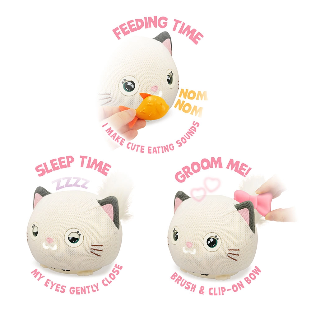 Purro Teksta Kitty - 5 years+