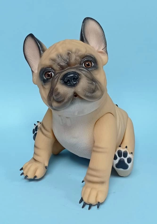 Dog - Animal - Baby Bulldog Francés - 3 years 3 (30 cm) (BDF-001)