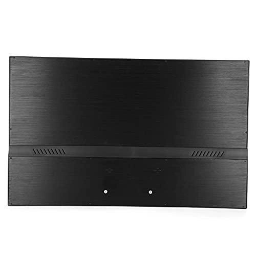 External Display - 17.3 Inches 1600 x 900